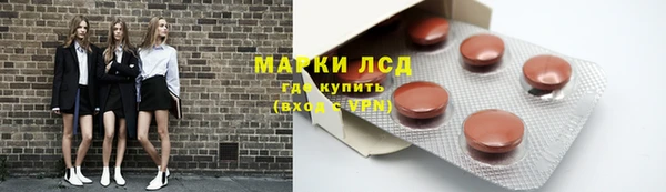 стаф Алзамай