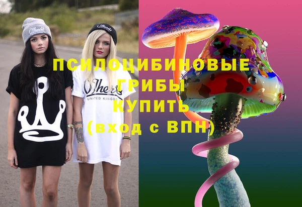 стаф Алзамай